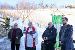 Vinički vinogradari proslavili „Vincekovo“