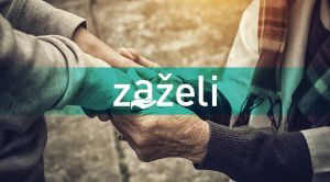 Javni poziv za iskaz interesa za sudjelovanje u projektu „Zaželi- Potpora i podrška“, SF.3.4.11.01.0311